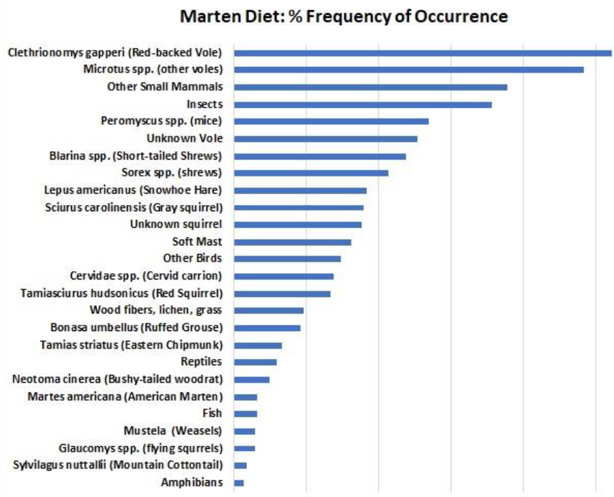 Marten diet graphic